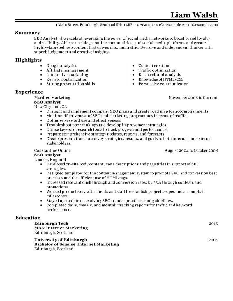 Web Search Evaluator Resume Best Seo Resume Example