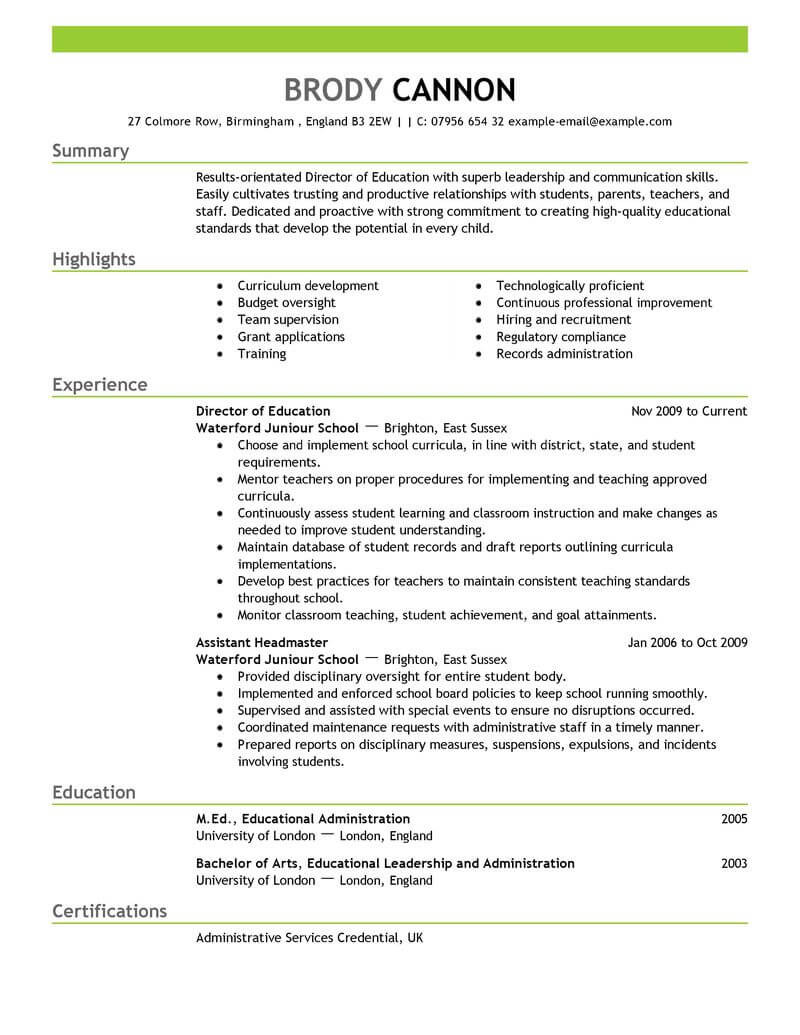 It Director Resume Examples Best Director Resume Example